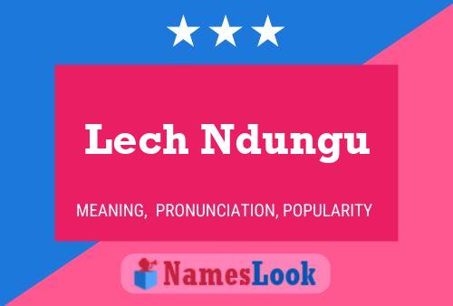 Lech Ndungu Namensposter