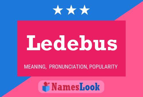 Ledebus Namensposter