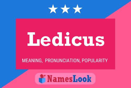 Ledicus Namensposter