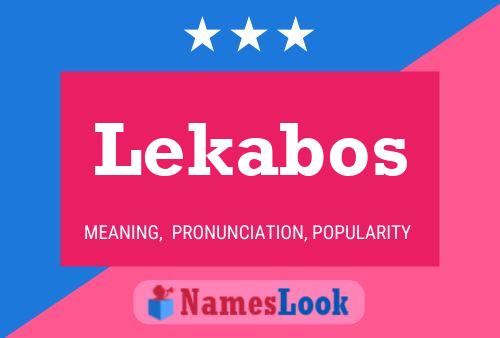 Lekabos Namensposter