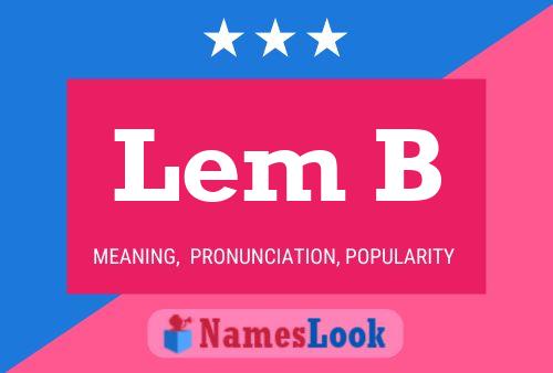 Lem B Namensposter