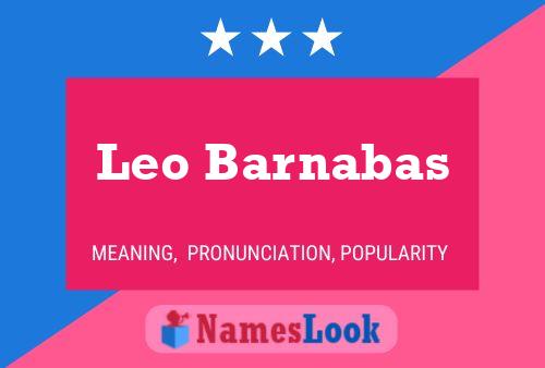 Leo Barnabas Namensposter