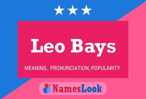 Leo Bays Namensposter