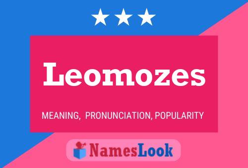 Leomozes Namensposter