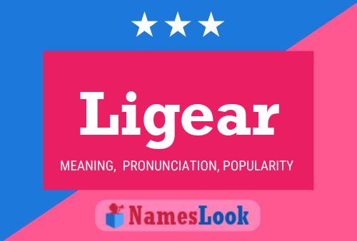 Ligear Namensposter