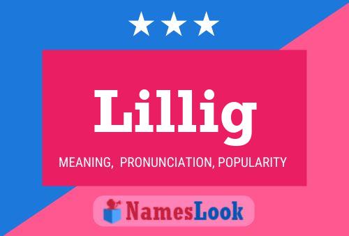 Lillig Namensposter