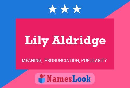 Lily Aldridge Namensposter