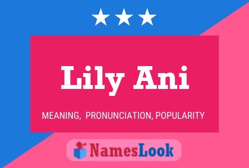 Lily Ani Namensposter