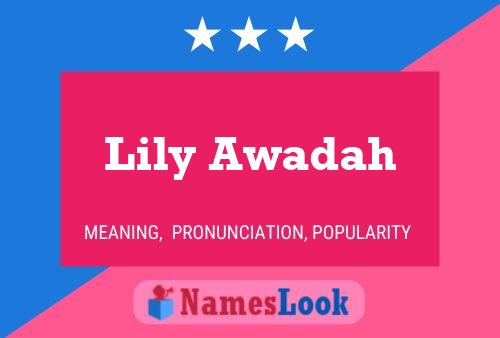 Lily Awadah Namensposter