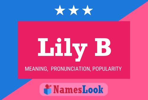 Lily B Namensposter