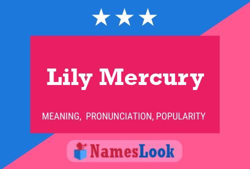 Lily Mercury Namensposter