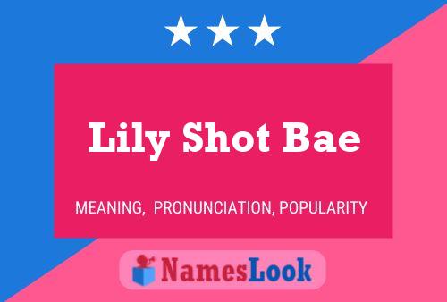 Lily Shot Bae Namensposter