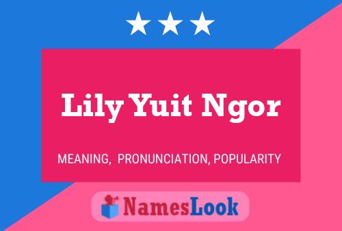 Lily Yuit Ngor Namensposter