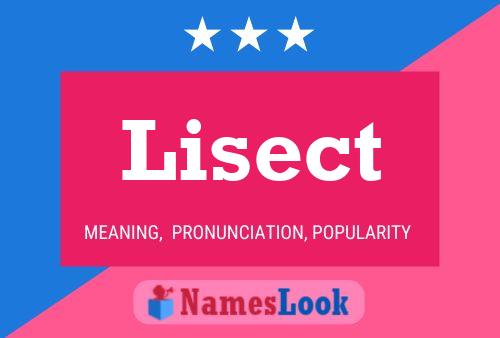 Lisect Namensposter