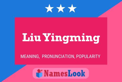 Liu Yingming Namensposter