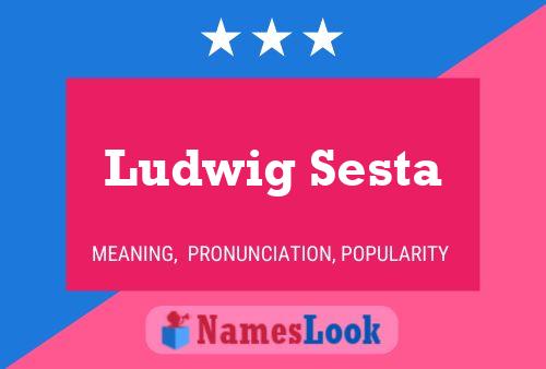 Ludwig Sesta Namensposter