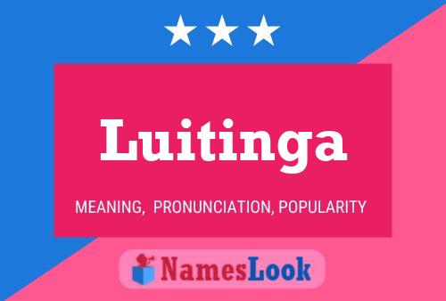 Luitinga Namensposter