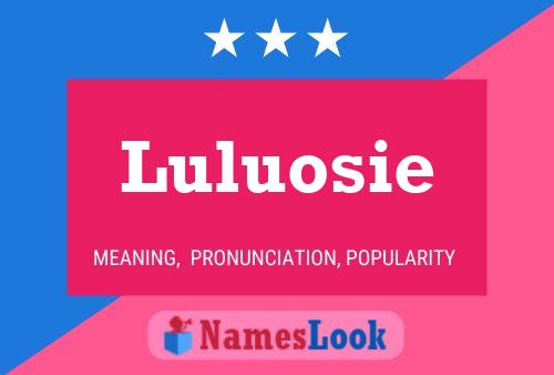 Luluosie Namensposter