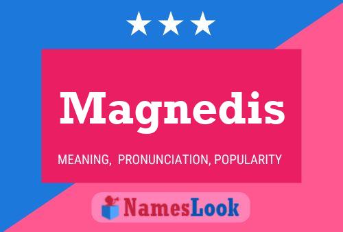 Magnedis Namensposter