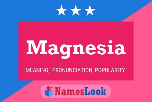 Magnesia Namensposter