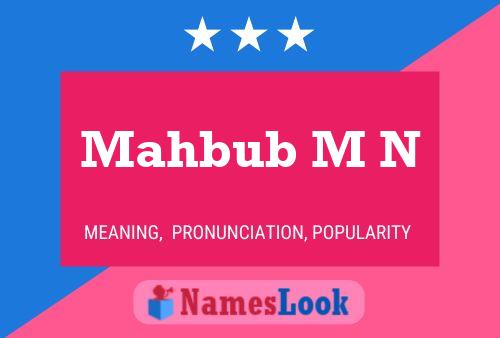 Mahbub M N Namensposter