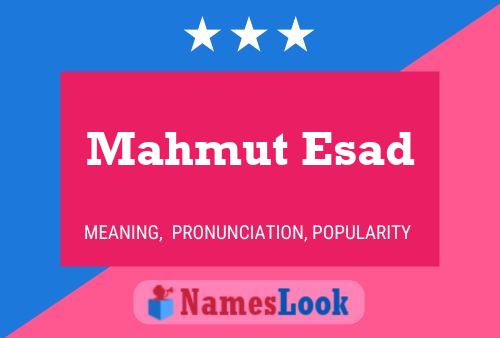 Mahmut Esad Namensposter