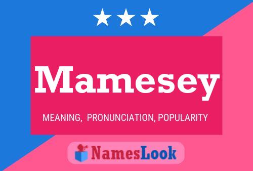 Mamesey Namensposter