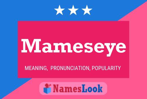 Mameseye Namensposter