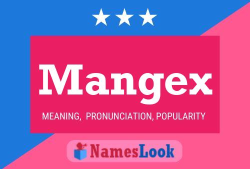 Mangex Namensposter