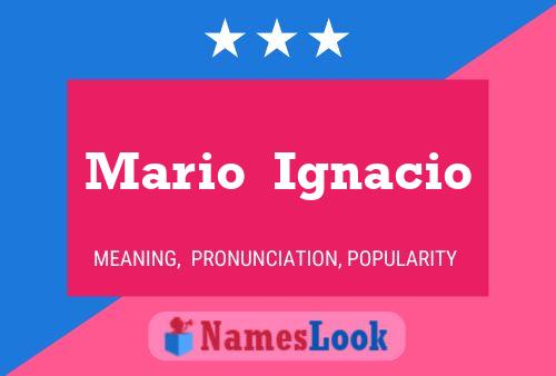 Mario  Ignacio Namensposter