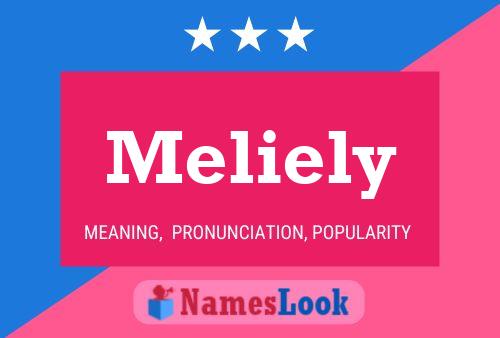 Meliely Namensposter