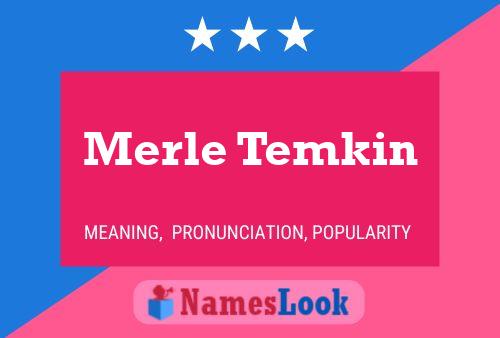 Merle Temkin Namensposter