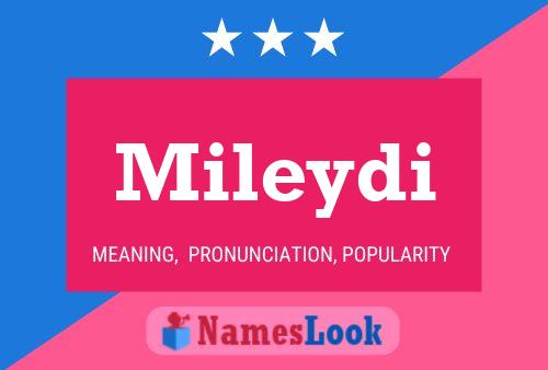 Mileydi Namensposter