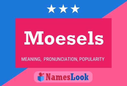 Moesels Namensposter