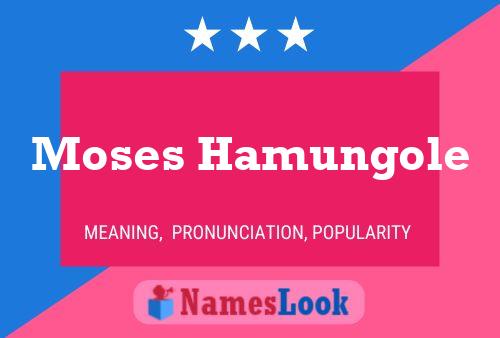 Moses Hamungole Namensposter