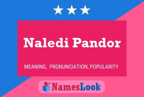 Naledi Pandor Namensposter