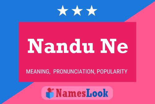 Nandu Ne Namensposter