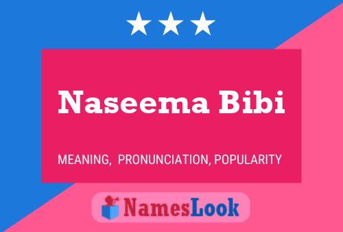 Naseema Bibi Namensposter