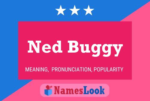 Ned Buggy Namensposter