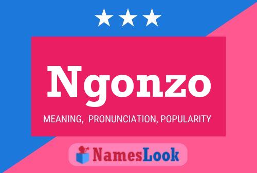 Ngonzo Namensposter