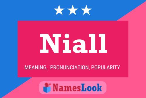 Niall Namensposter