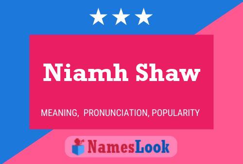 Niamh Shaw Namensposter