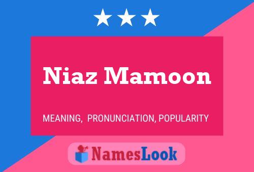 Niaz Mamoon Namensposter