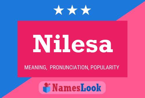 Nilesa Namensposter