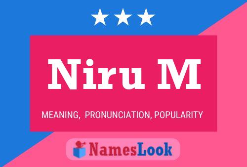 Niru M Namensposter