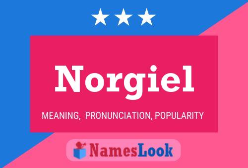 Norgiel Namensposter