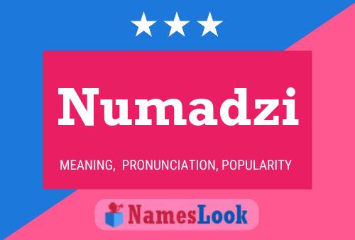 Numadzi Namensposter