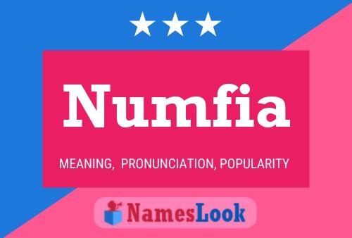 Numfia Namensposter