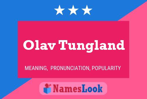 Olav Tungland Namensposter