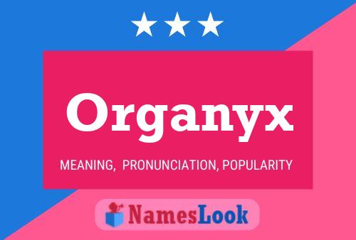 Organyx Namensposter